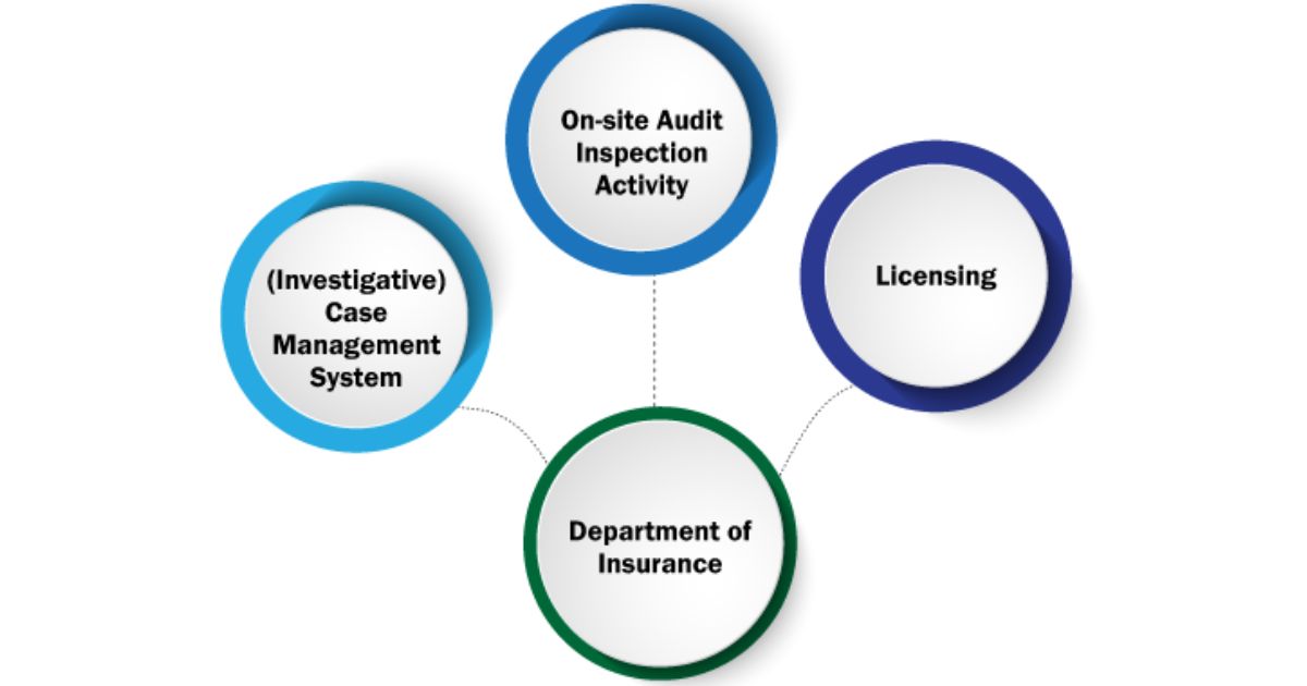Investigate Licensing and Insurance Requirements